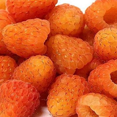 Оранжевая в Сочи